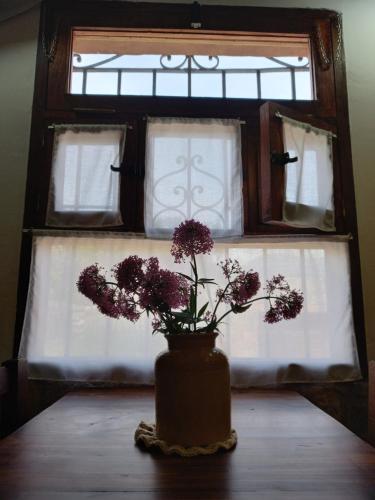 a vase with flowers on a table in front of a window at Kay Pacha in Tilcara