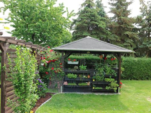 a garden with a gazebo with flowers and plants at Ferienwohnung Nordstadt in Forst