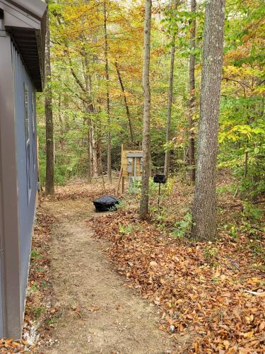 a path in the woods next to a house at Avenwood Cabins in Logan