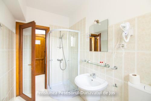 a bathroom with a shower and a sink at Pensiunea Pestisorul in Dunavăţu de Jos
