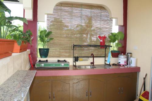 a kitchen with a sink and a counter with plants at Peace Lily Studio Apartments Panglao in Panglao Island