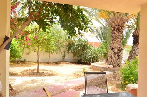 a view of a garden with trees and plants at Ranch Tanit Djerba in Midoun