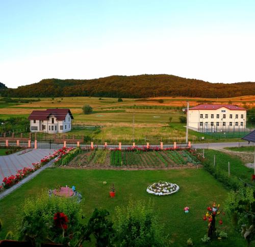 einen Garten mit Blumen und ein Gebäude im Hintergrund in der Unterkunft Cabana LaGică in Beclean