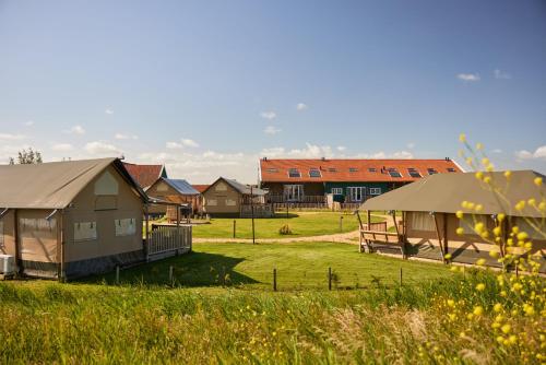 a group of houses in a field with grass at Dutchen Erfgoedpark De Hoop Glamping in Uitgeest