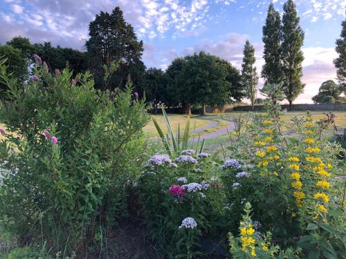 einen Garten mit bunten Blumen auf einem Feld in der Unterkunft La Maison du Hommeel in Gratot