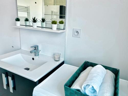 ein Badezimmer mit einem Waschbecken und einer Theke mit Handtüchern in der Unterkunft Charmant T2 lumineux au pied de la gare in Courcouronnes