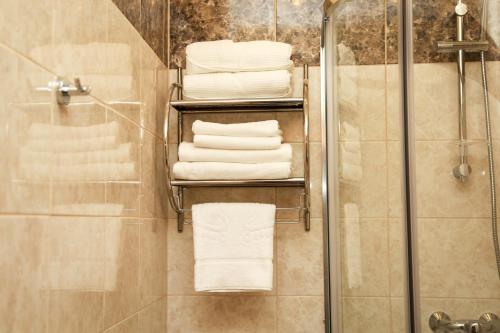 y baño con ducha y perchero de toallas. en Arkada Hotel, en San Petersburgo