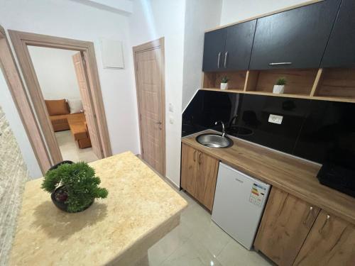 a small kitchen with a counter and a sink at Apartments Pericic in Sutomore