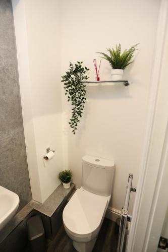 a bathroom with a toilet and plants on the wall at Cheerful 4-bedroom home in Sheffield in Walkley