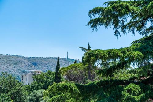 a building on a hill with trees in the foreground at Apartments Zadro in Dubrovnik