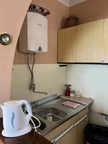 a kitchen with a sink and a counter top at Plavius Guesthouse in Plav