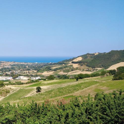 Lí da Ste – Photos 3
