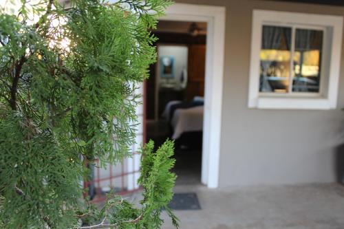 a front door of a house with a tree at The Hancock Inn in Klerksdorp