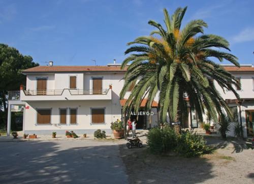 a palm tree in front of a building at Hotel Residence I Briganti di Capalbio in Capalbio