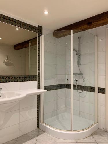 a bathroom with a shower and a sink at Hotel Le Moulin Des Ramiers in Crupet