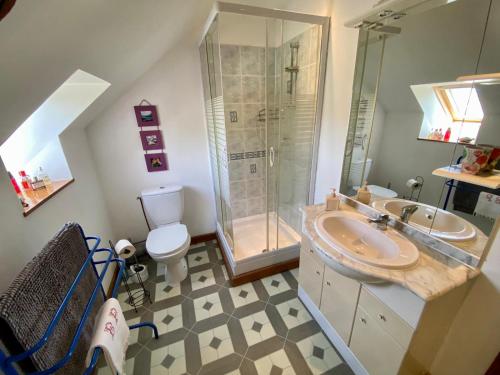 a bathroom with a sink and a shower and a toilet at Gîtes Les Villes Briend in Pluduno