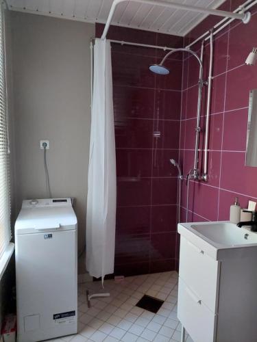 uma casa de banho com um chuveiro, um WC e um lavatório. em Jõevaara Veskitalu 