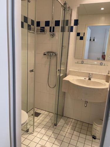a bathroom with a glass shower and a sink at Naturnahes, neu möbl.Apartment, hundefreundlich in Neu Gaarz