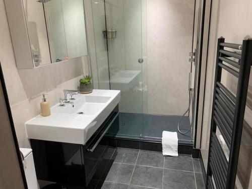 a bathroom with a sink and a shower at Georgian 2 Bedroom Apartment in Edinburgh