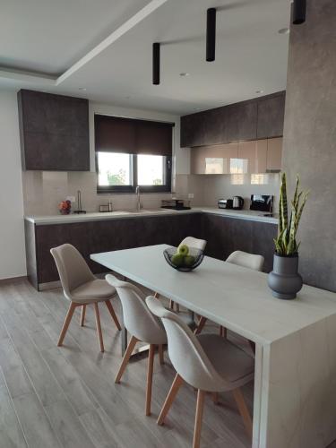 Kuchyň nebo kuchyňský kout v ubytování VagiaNa apartment Διαμέρισμα κοντά στο αεροδρόμιο