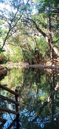 a body of water with trees and a bridge at Apart no Águas da Serra - 115B in Rio Quente
