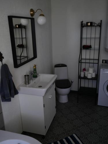 Koupelna v ubytování Viesu nams Stella