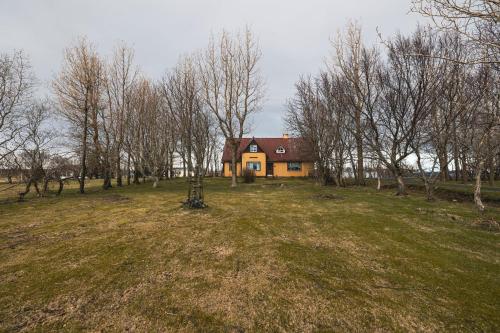 a house in the middle of a field with trees at Heidi Guesthouse in Selfoss