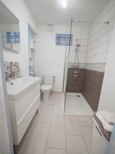 une salle de bain avec une douche, des toilettes et un lavabo dans l'établissement LE CALLOU - Parking - Face aux Thermes - Rez de Chaussée, à Vichy