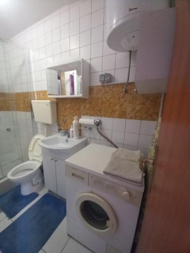 ein Badezimmer mit einer Waschmaschine und einem WC in der Unterkunft Apartment Reni in Sarajevo