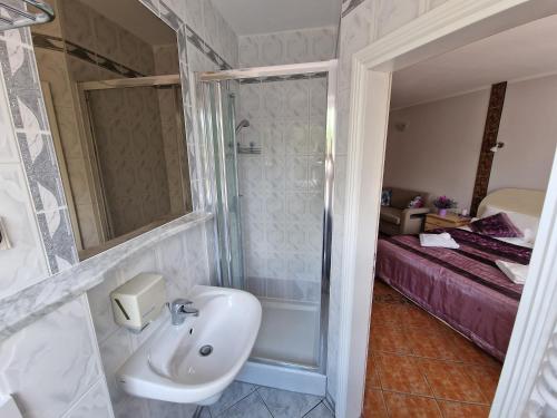 uma casa de banho com um lavatório, um chuveiro e uma cama. em Apartament Hexagon nr 14 em Grzybowo