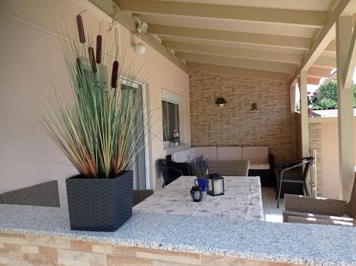 eine Terrasse mit einem Tisch und einer Topfpflanze in der Unterkunft Sommer Ferienhaus in Balatonszárszó