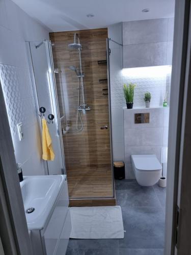 a bathroom with a shower and a sink and a toilet at Apartament Luxusowe Karkonosze in Jelenia Góra