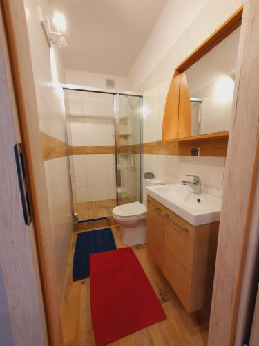 a bathroom with a sink and a toilet and a mirror at Domki Apartamentowe 3Fale in Władysławowo