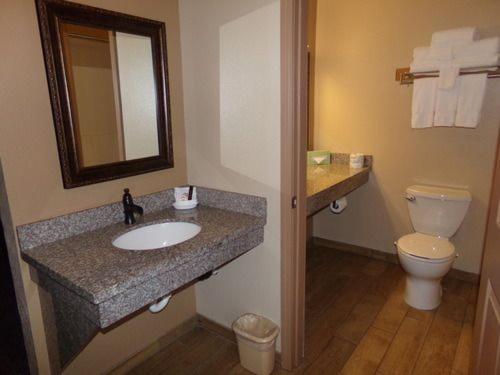 a bathroom with a sink and a toilet and a mirror at Cowlitz River Lodge in Packwood