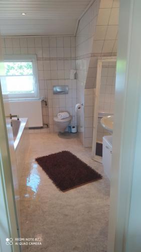 a bathroom with a toilet and a sink at Aparthotel & Wohnung nur für Monteure am Norderteich in Horn-Bad Meinberg