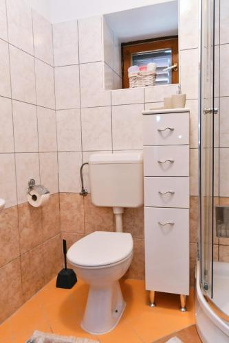 a bathroom with a white toilet and a shower at Freya's Apartments Medulin in Medulin