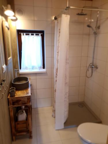 Vonios kambarys apgyvendinimo įstaigoje Domek Mały Czar