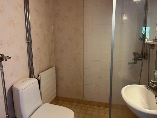 un baño con inodoro y lavabo en Rovaniemi budget travels, en Rovaniemi