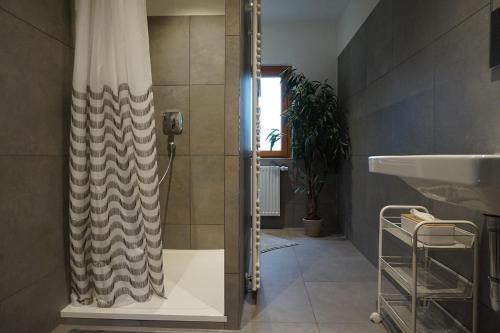 y baño con ducha y lavamanos. en Casa Maria, en Amtzell