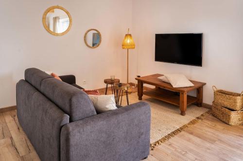 salon z kanapą i telewizorem w obiekcie Mamita1"Apartment delight of the pines"spacious bright T3 62m18mterrace w mieście Lacanau