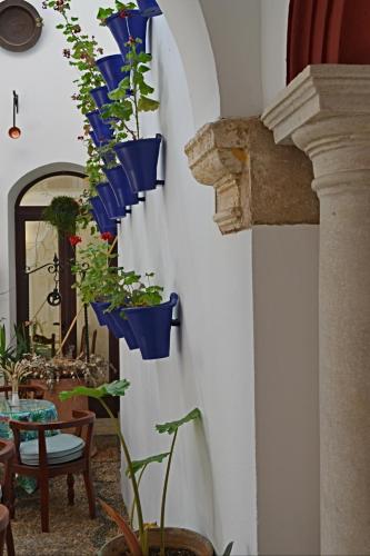 a room with blue potted plants on a wall at Hotel Marisa in Córdoba