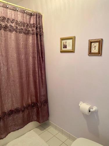 a bathroom with a shower curtain and a toilet at The Cypress Inn in Conway