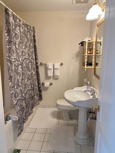 a bathroom with a sink and a toilet and a shower curtain at The Cypress Inn in Conway