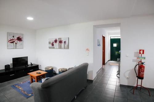 a living room with a couch and a tv at Casa das Palmeiras in São Vicente Ferreira
