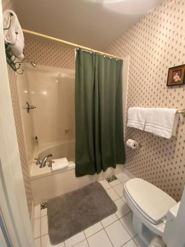 a bathroom with a toilet and a green shower curtain at The Cypress Inn in Conway