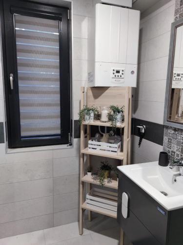 a bathroom with a sink and a shelf with plants at Flowers Apartment in Dobrich
