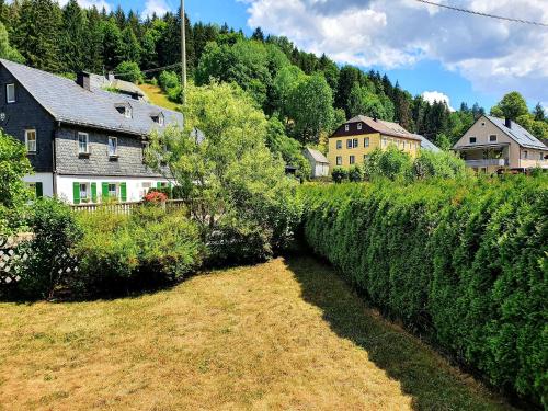 a village with a hedge and houses and trees at Ferienwohnung Bei Vogel in Geroldsgrün