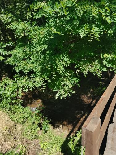 Taman di luar Cazare La Oana