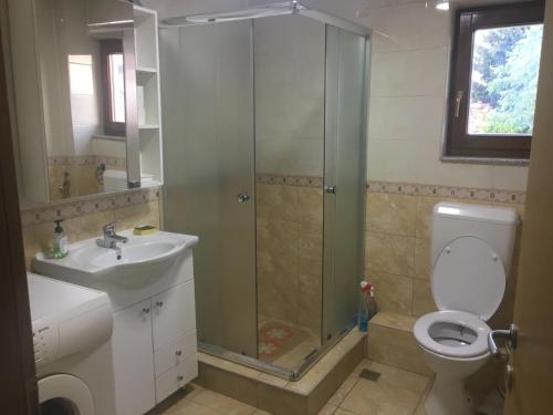 a bathroom with a shower and a toilet and a sink at Cozy 2 bedroom apartment in Sarajevo