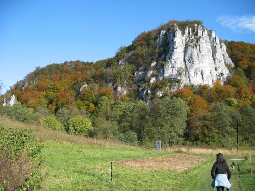a woman walking down a field in front of a mountain at DOM POD SOKOLICĄ in Będkowice